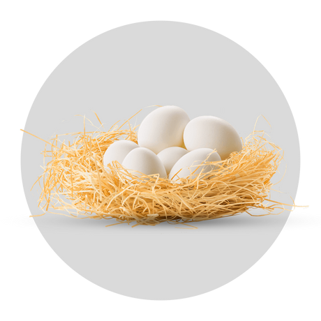 Eggs