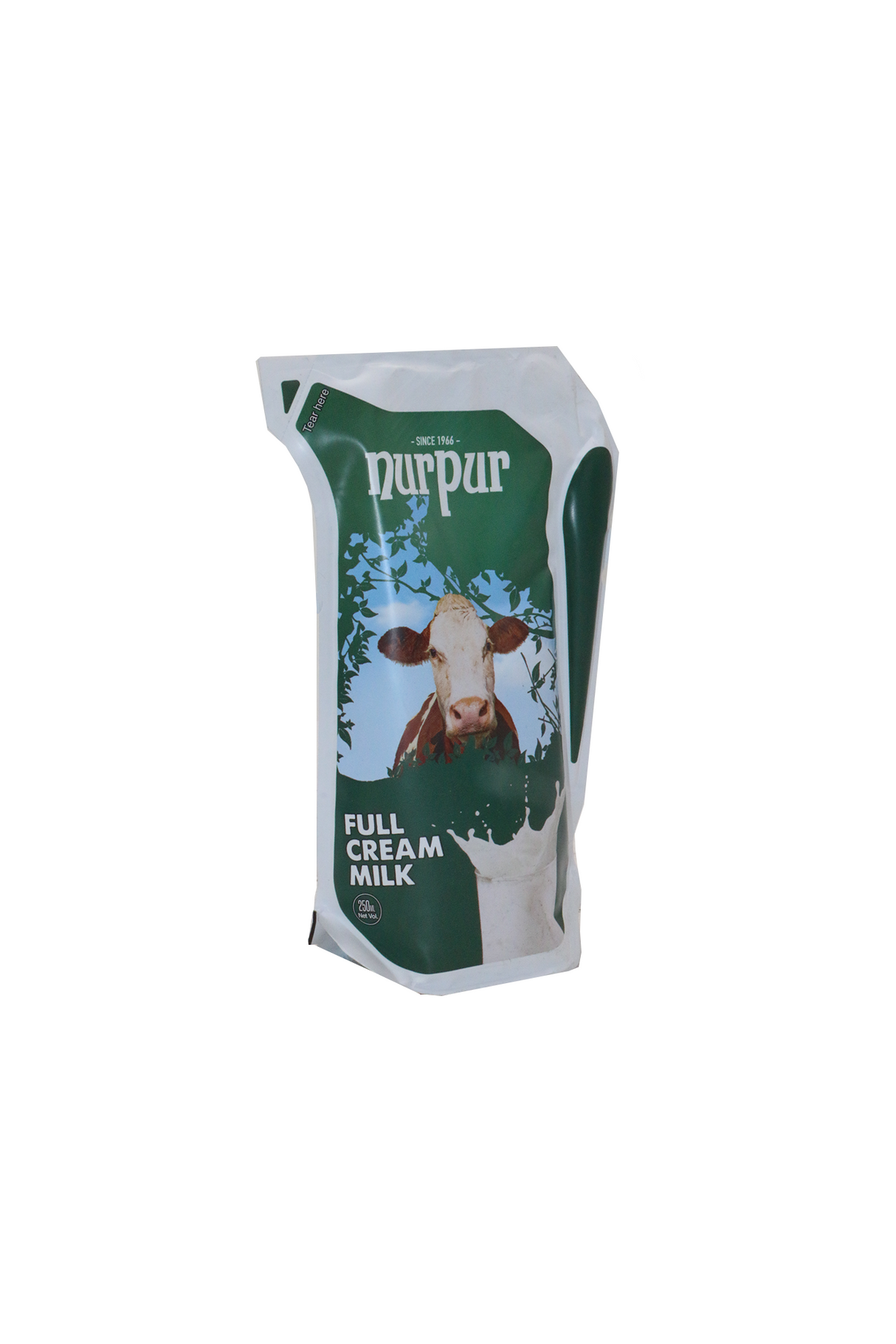 nurpur full cream milk 250ml