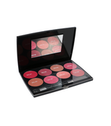 christine blush on kit 8 colour