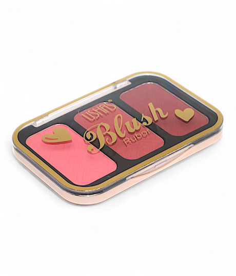 ushas blush on 3color china es4177