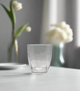 APPOLLO ACRYLIC GLASS 1PC ONLY WHITE PAK D934