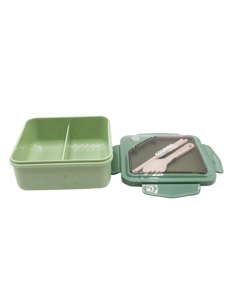 plastic lunch box china 2449