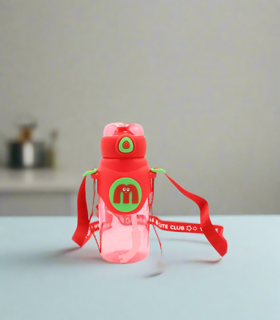 bottle 560ml china 10040