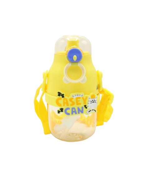 bottle 480ml china 10050