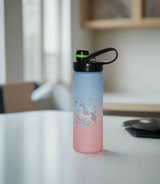 bottle matt color 750ml china m8-209