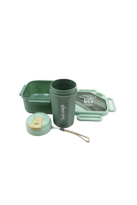 lunch box & bottle china d575