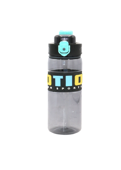 bottle 1l china 615