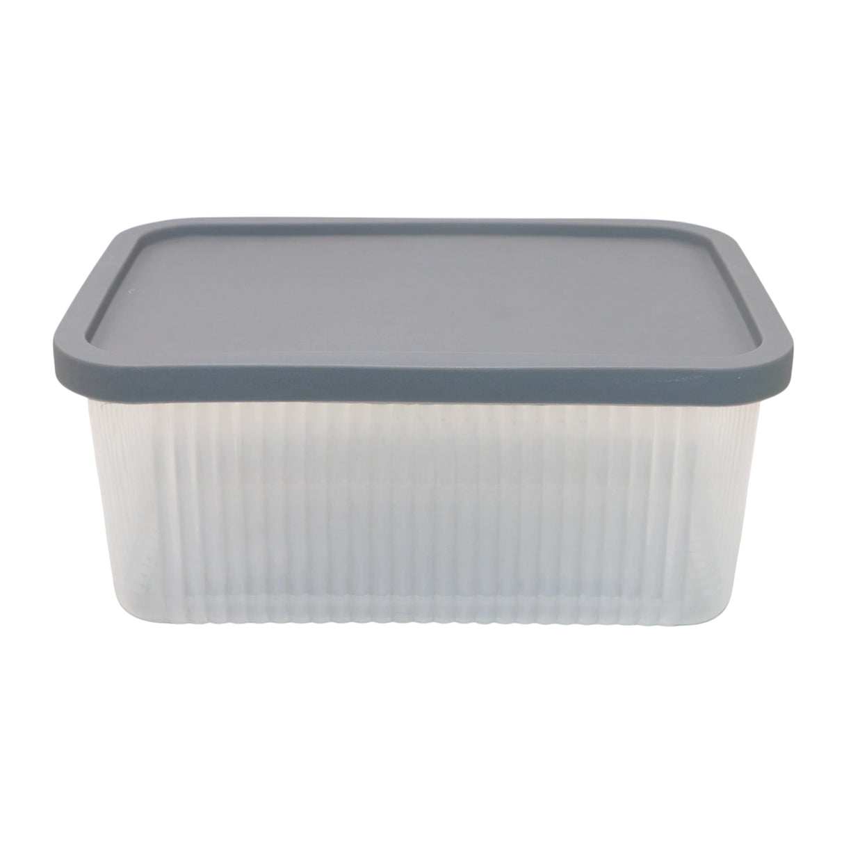 plastic box 1pc large rectangle pak fiesta oro