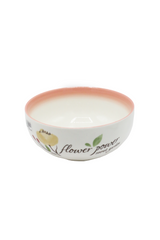 fpsg ceramic bowl 8" china