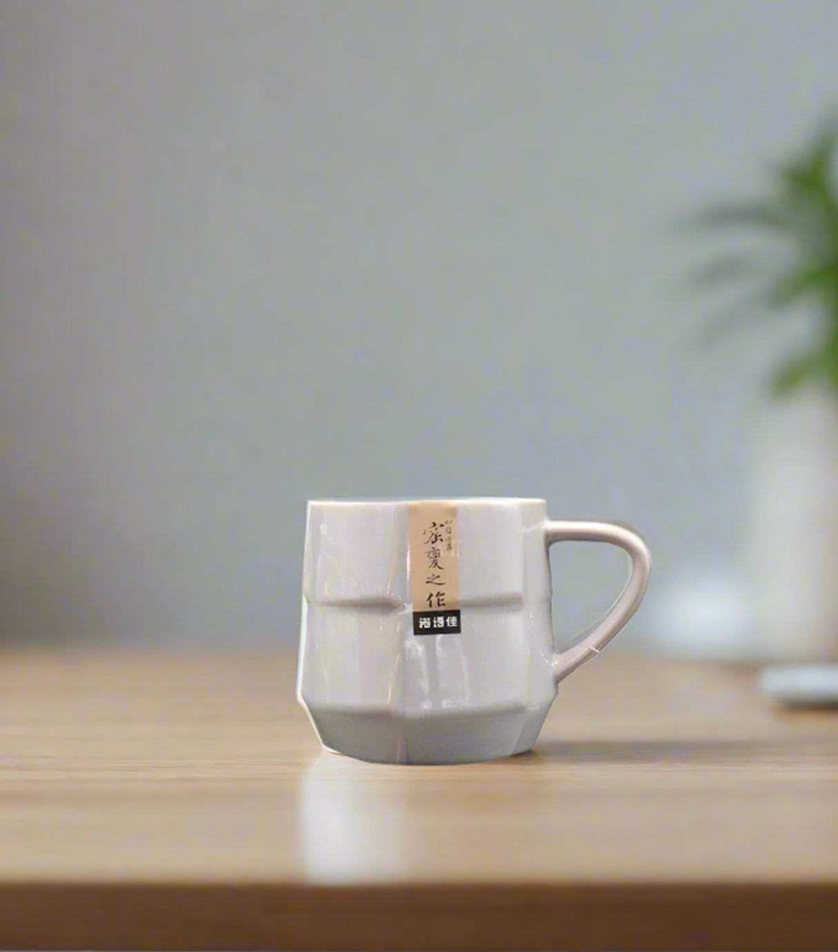 mug ceramic cx-04 china
