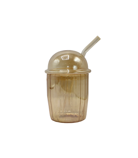 mason jar 1pc color epb68/l1