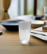 arcoroc glass 6pc china v7635