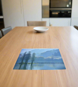 table mat 1pc 6623819 china d684