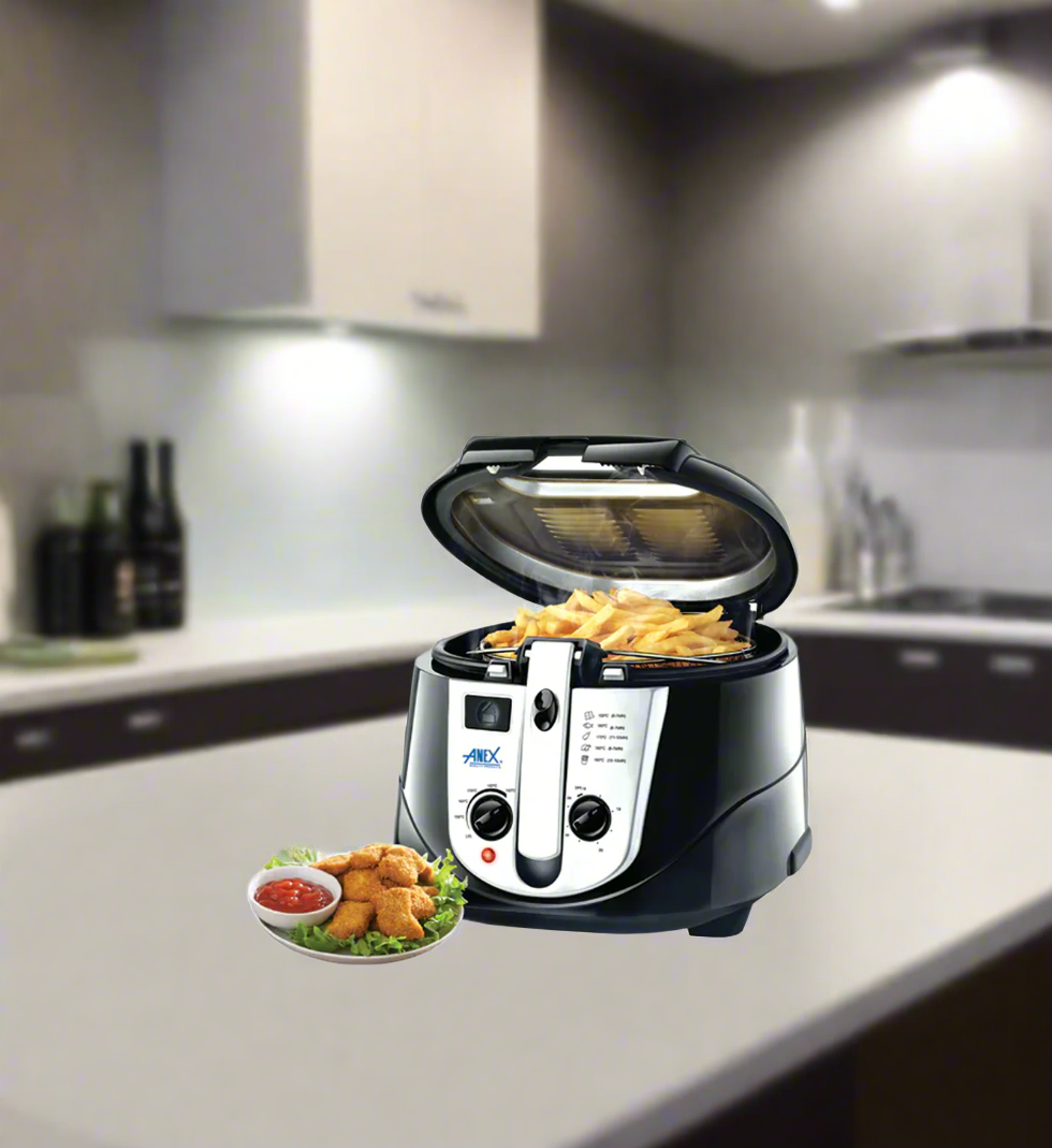 anex deep fryer ag2014