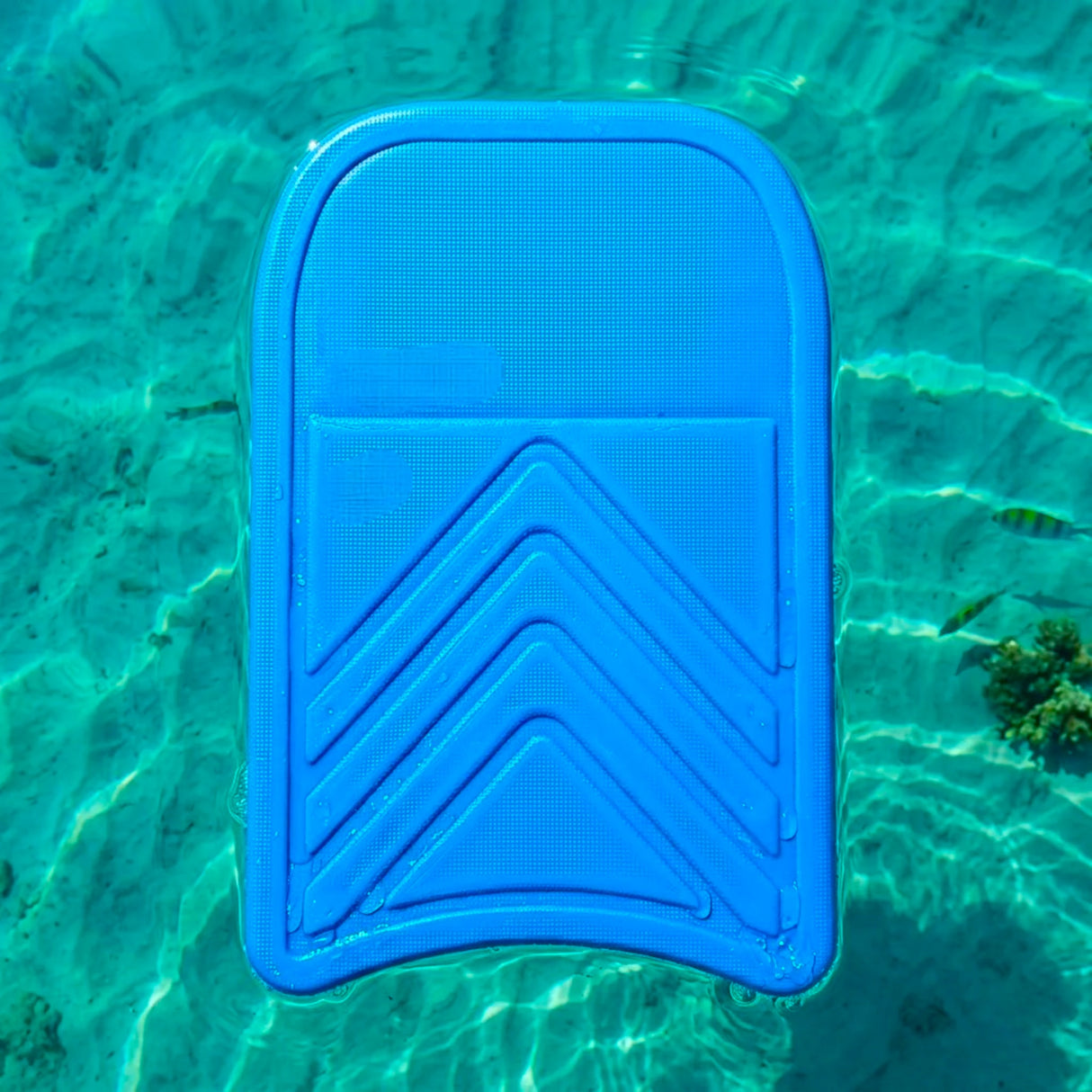 SWIMMING KICK BOARD V DESIGN 8004 FINE CHINA