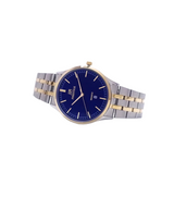 prestige men's watch pr3585mtg