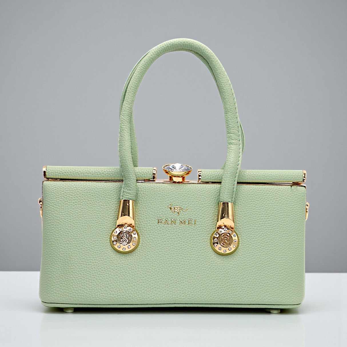 ladies handbag fancy