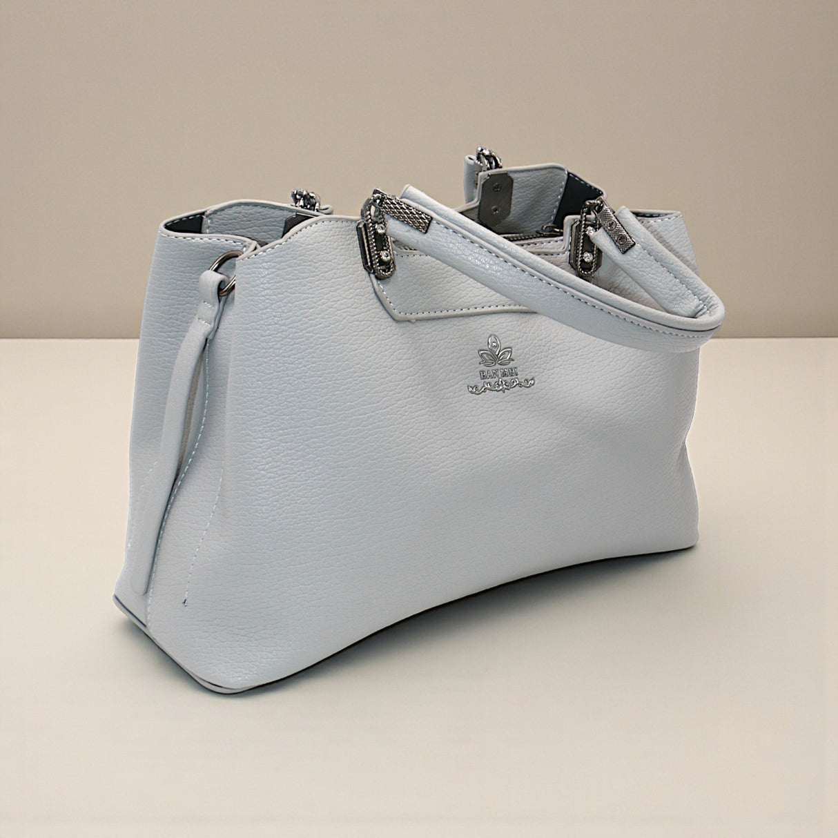 ladies handbag