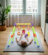 baby play gym pak 206