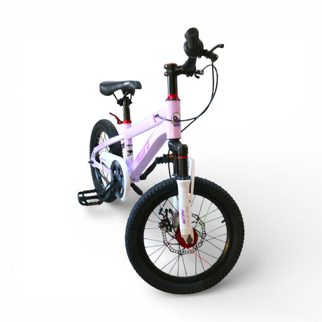 bicycle 16'' china
