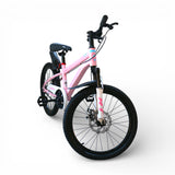 bicycle 20'' china