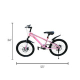 bicycle 20'' china