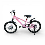 bicycle 20'' china
