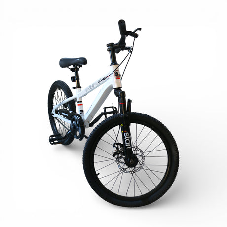 bicycle 20'' china