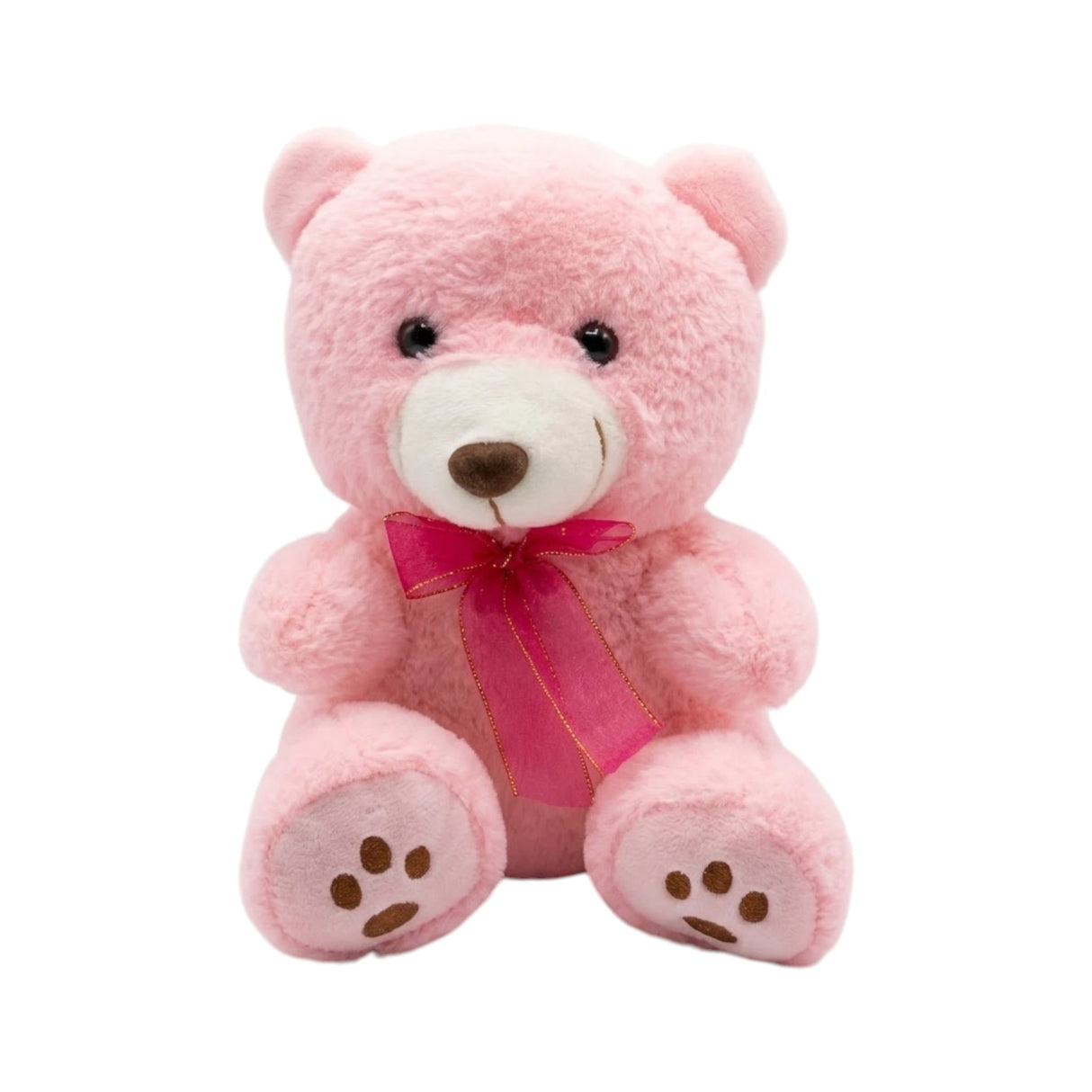 stuff bear with tie & footprint
