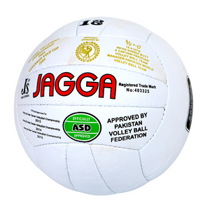 Volley ball