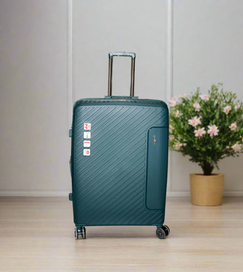 wangbo luggage trolley travel bag 2 handle 28" china d813