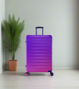 ifly luggage trolley travel bag 2 handle 20" china d814
