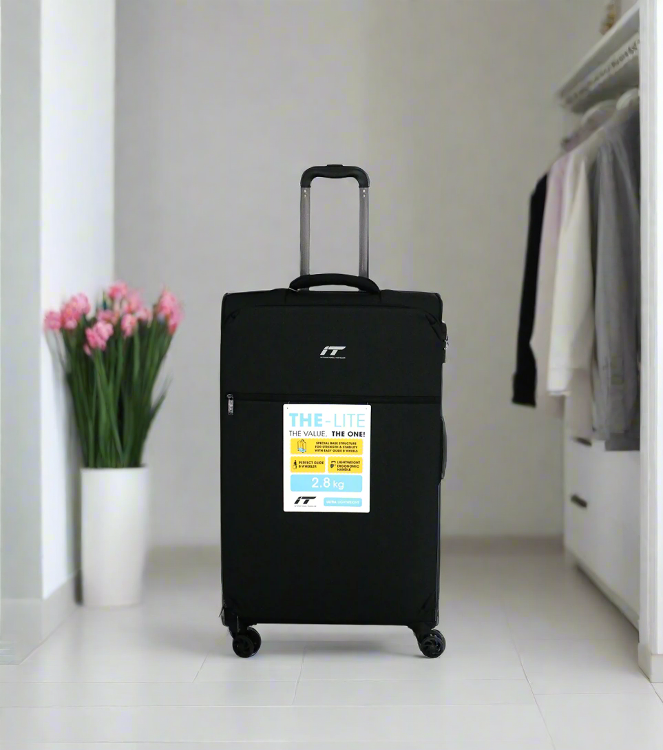 it luggage trolley travel bag 2 handle 28" china 1191