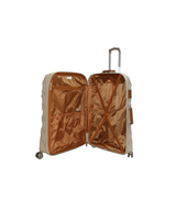 it luggage trolley travel bag 2 handle 20" china 2884