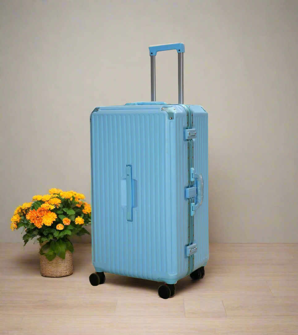 suitcase 3 handles, usb & glass holder 29.5" china