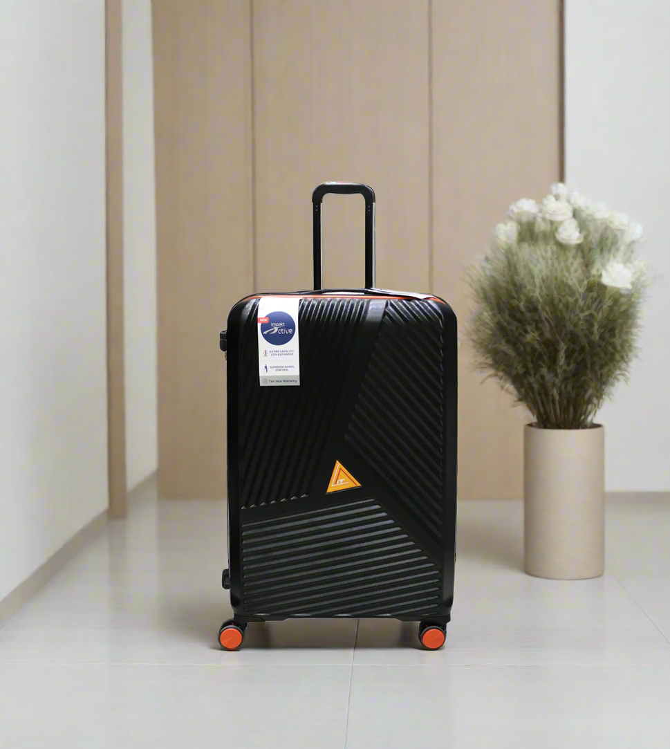 it luggage trolley travel bag 2 handle 24" china 22234