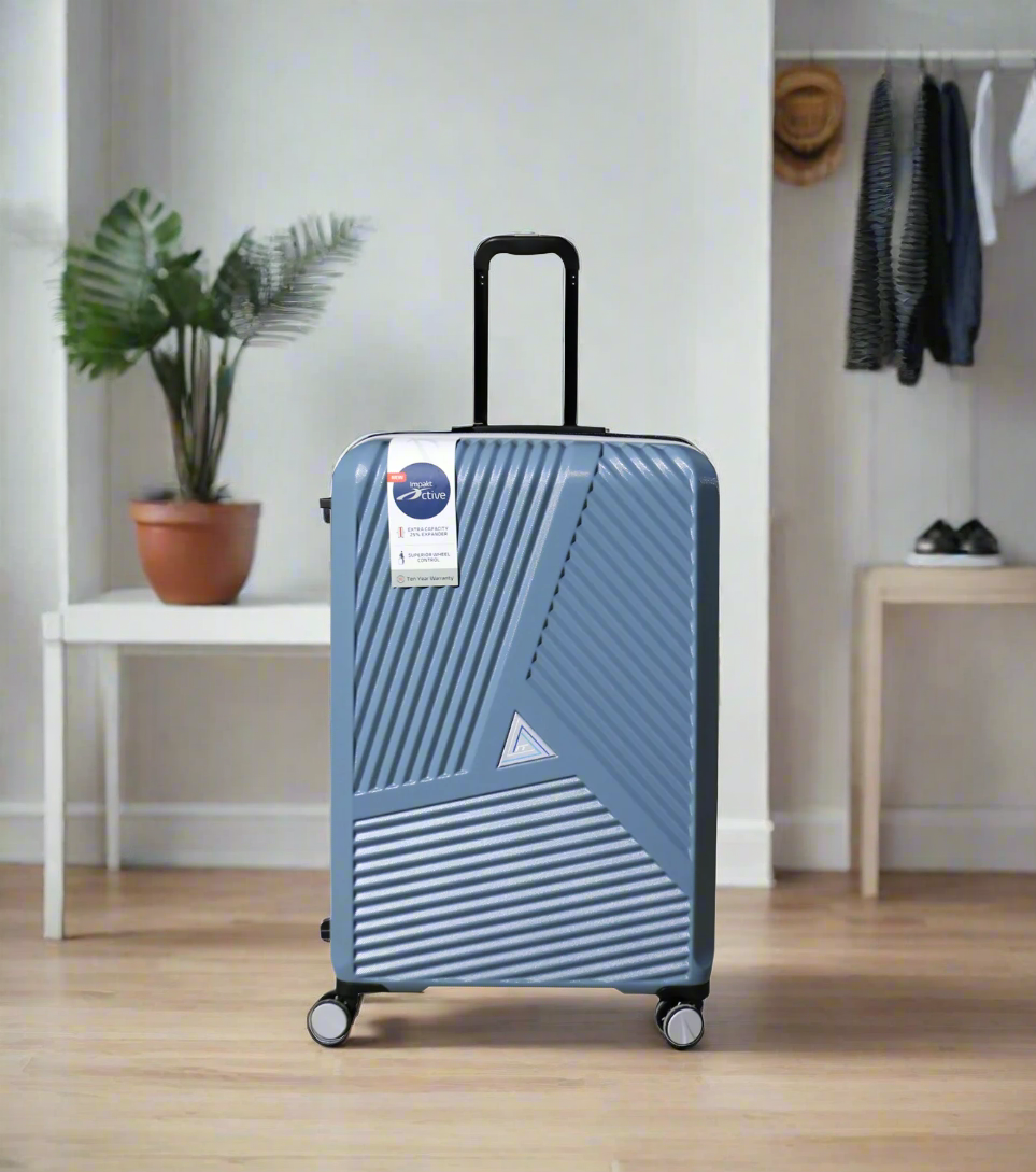 it luggage trolley travel bag 2 handle 28" china 22234