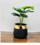 planter fiber golden patti black 11"x11" d552