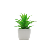 cactus & ceramic pot 1.5"hx 4"w china d343