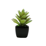 cactus & ceramic pot 1.5"hx 4"w china d343