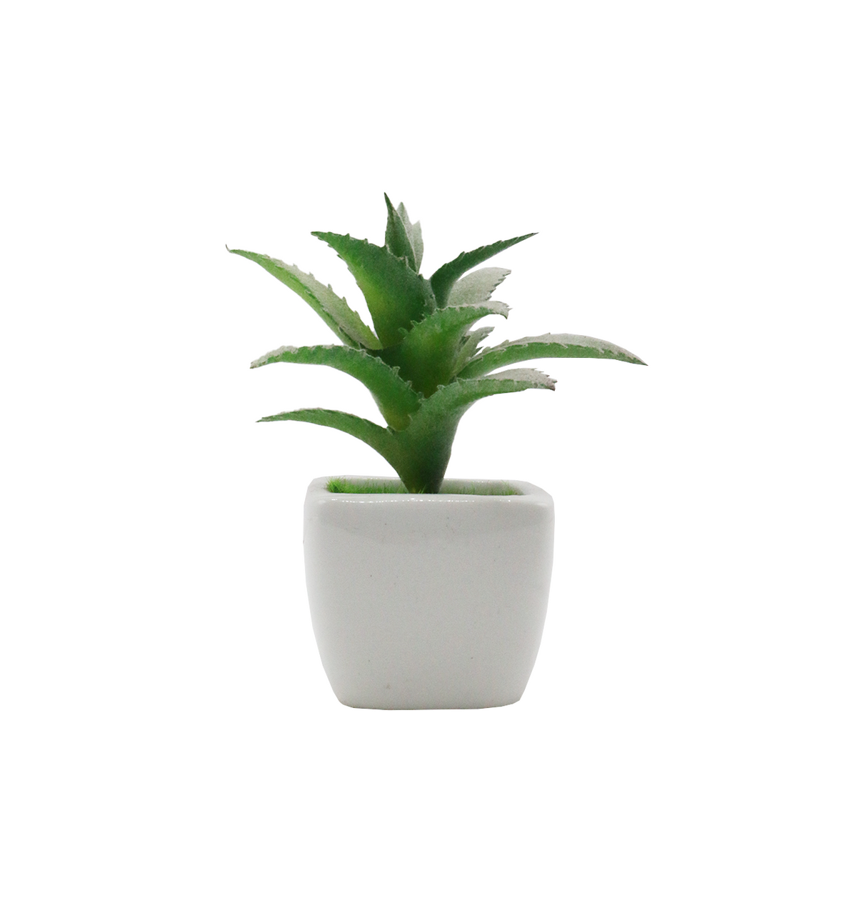 cactus & ceramic pot 1.5"hx 4"w china d343