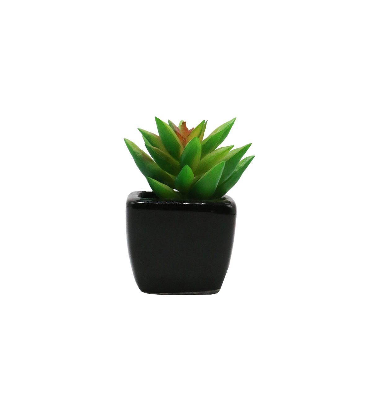 cactus & ceramic pot 1.5"hx 4"w china d343