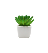 cactus & ceramic pot 1.5"hx 4"w china d343