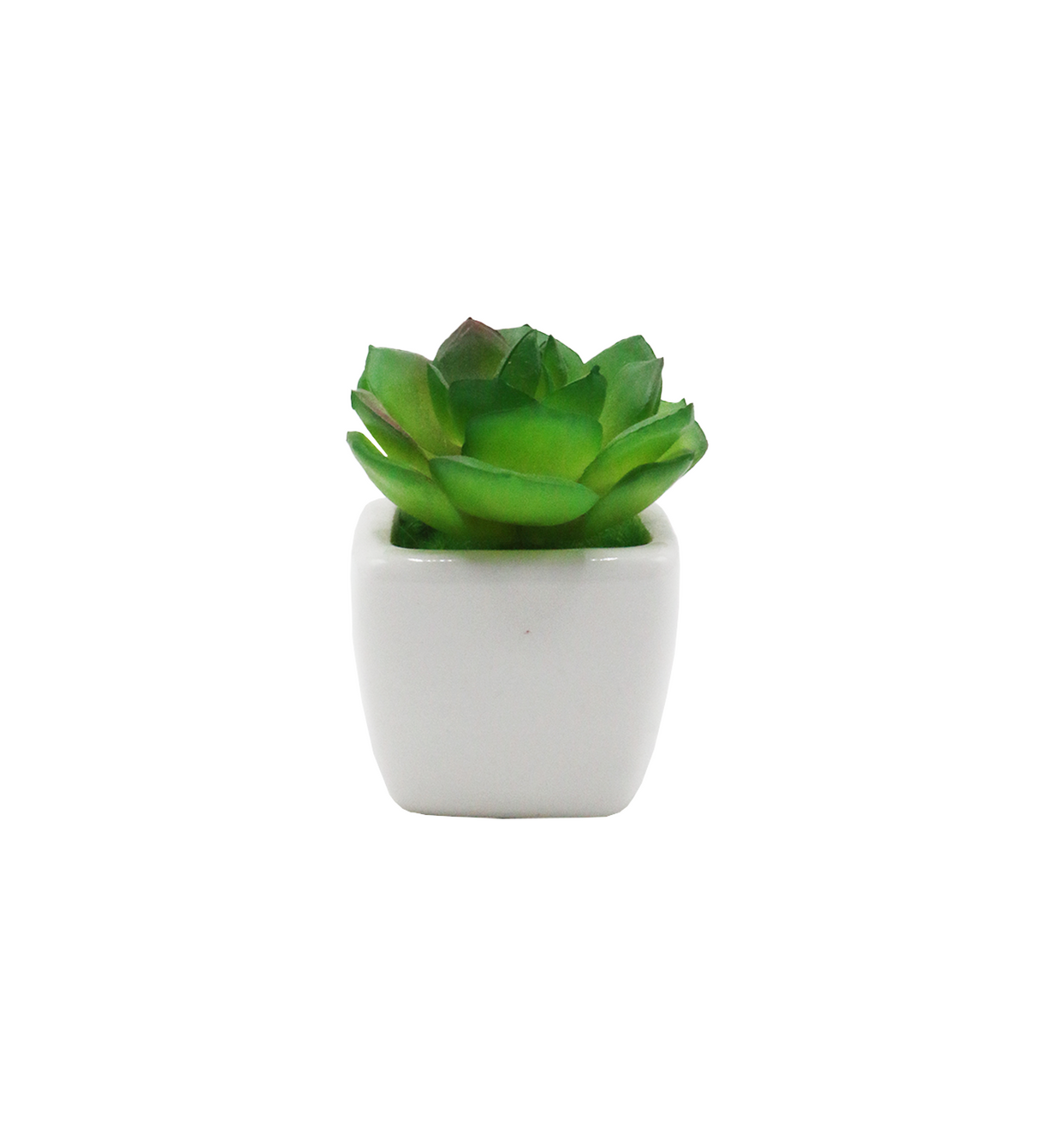 cactus & ceramic pot 1.5"hx 4"w china d343