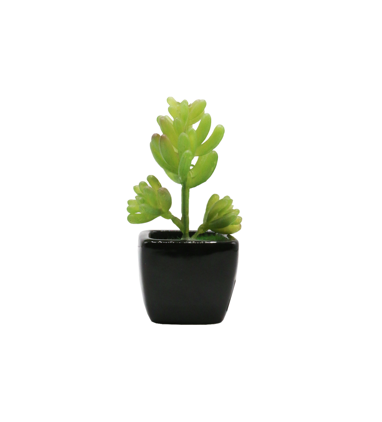 cactus & ceramic pot 1.5"hx 4"w china d343