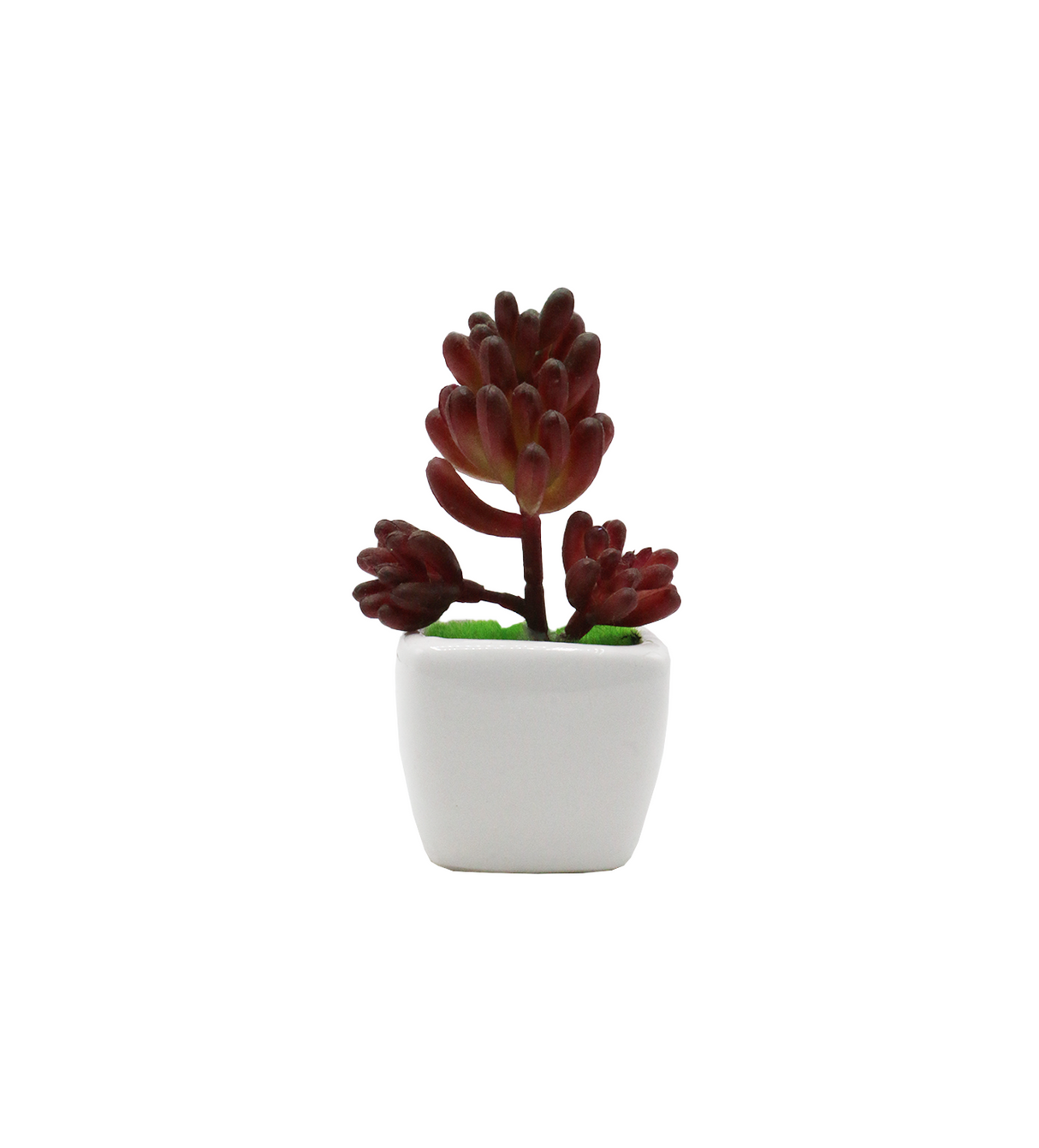 cactus & ceramic pot 1.5"hx 4"w china d343
