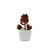cactus & ceramic pot 1.5"hx 4"w china d343