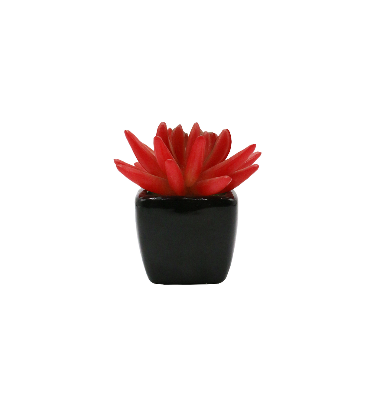 cactus & ceramic pot 1.5"hx 4"w china d343
