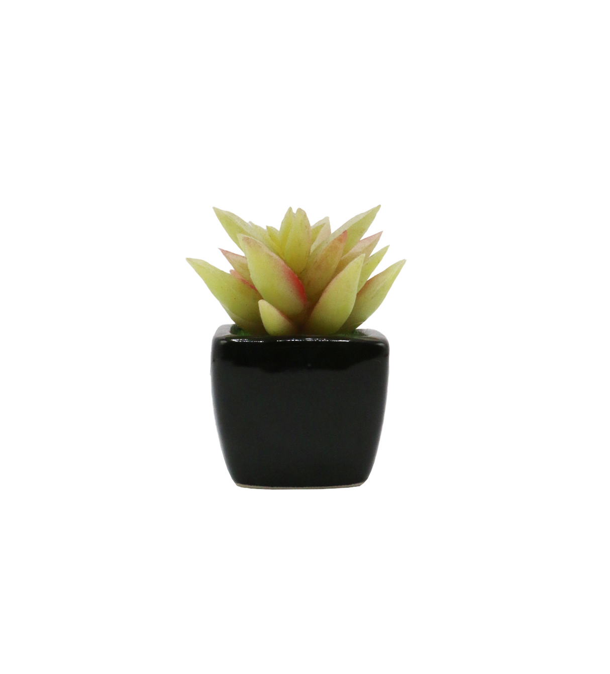 cactus & ceramic pot 1.5"hx 4"w china d343