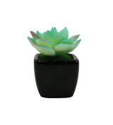 cactus & ceramic pot 1.5"hx 4"w china d343